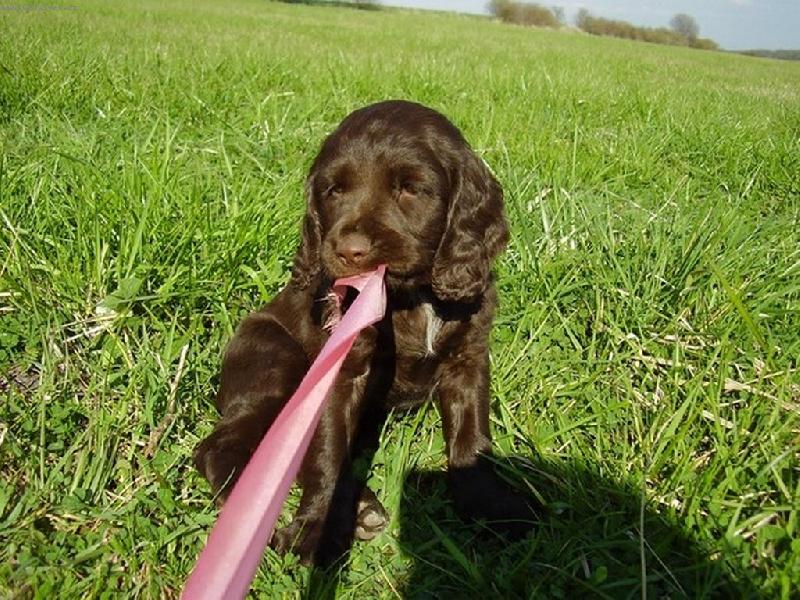 Foto: LADY-Žádná mašle na pomlázku nebude :-)