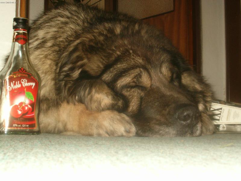 Foto: Třeskuté mrazy na Severní Moravě