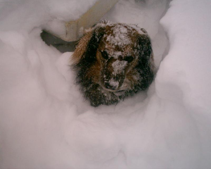 Foto: Charlie-To je,ale studené brrrrrrrr.