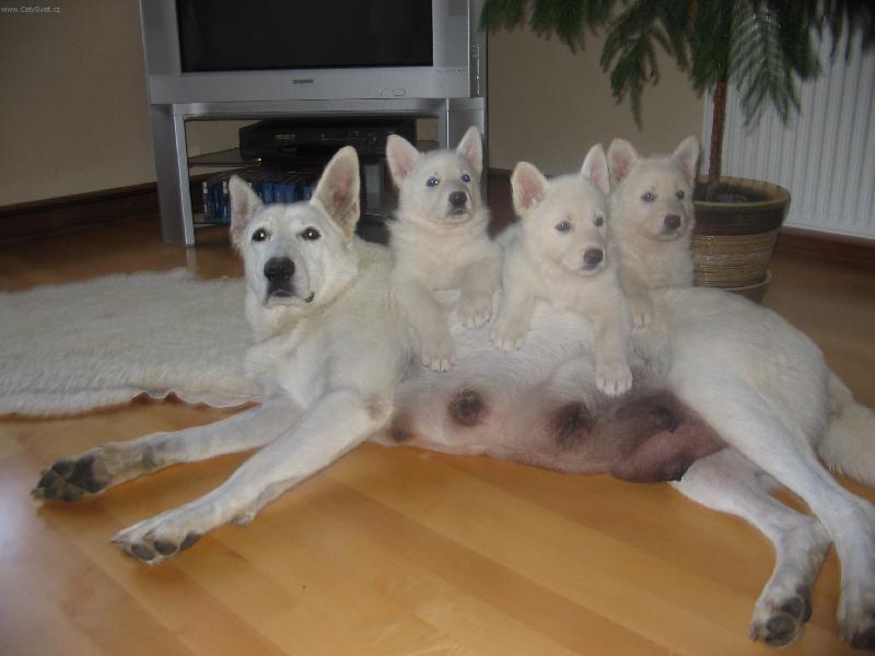 Foto: Fergie a její podařené děti-Máma přemožena