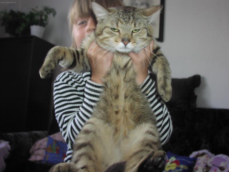 Foto: Co se děje?-Malísek se fotí