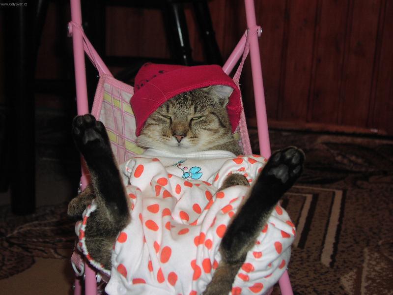 Foto: Naše mimino-Malís v kočárku