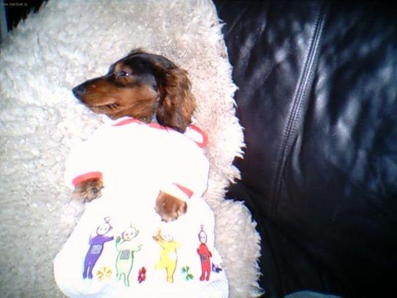 Foto: V no�n� ko�ilce