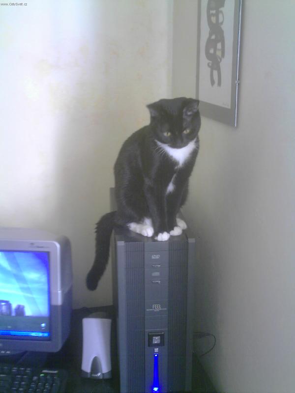 Foto: Tady vládnu já! Kuba veliký.-Co je to ten ovladač?