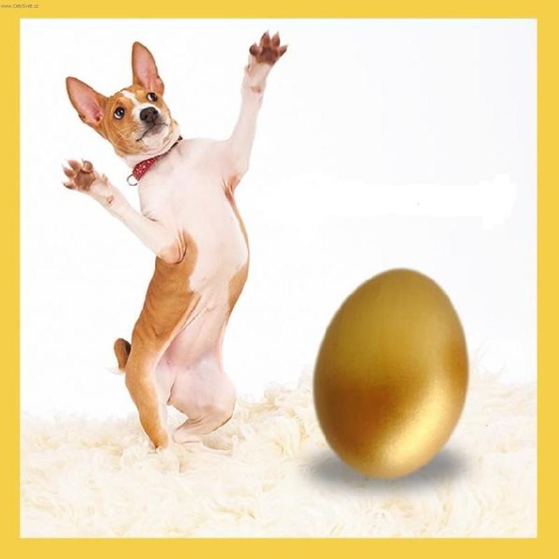 Foto: veselé velikonoce