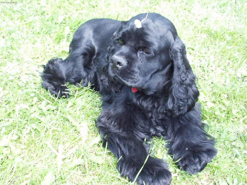 Foto: Sindy s kytičkou