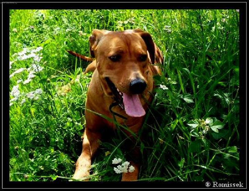 Foto: Naše sluníčko-Letní válení