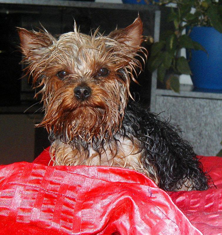 Foto: Honzík po koupání