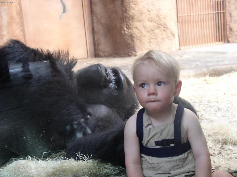 Foto: To nedopadne dobře.-Při návštěvě Pražské ZOO.