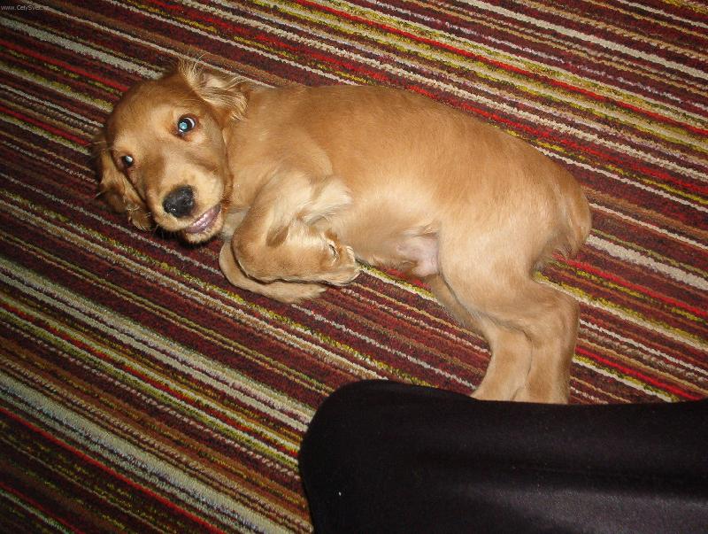 Foto: Marco-Úsměv prosím :)