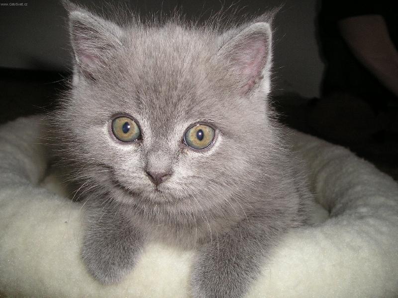 Foto: Absolutní štěstí-Jmenuji se Fanoušek a je mi fajn. Zatím se rozhlížím.....