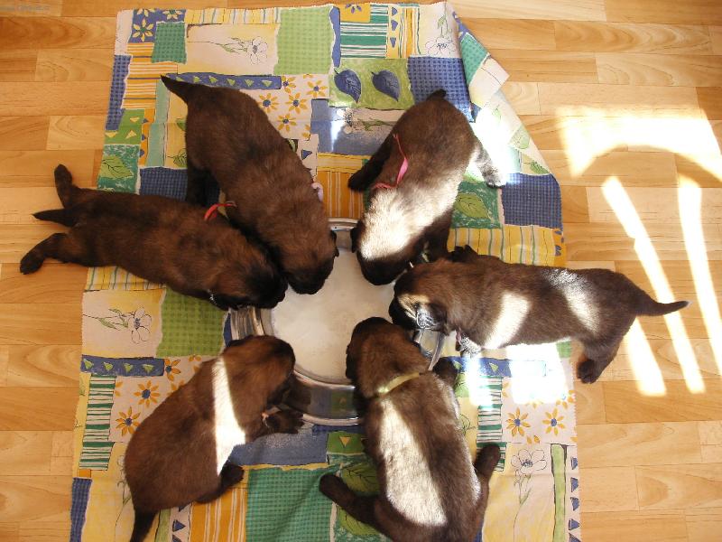 Foto: Galaxy Oss. - vrh A-Mlíííčko!