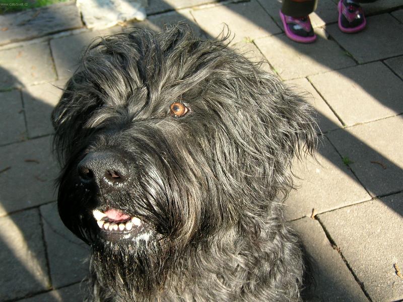 Foto: já vidíím :)