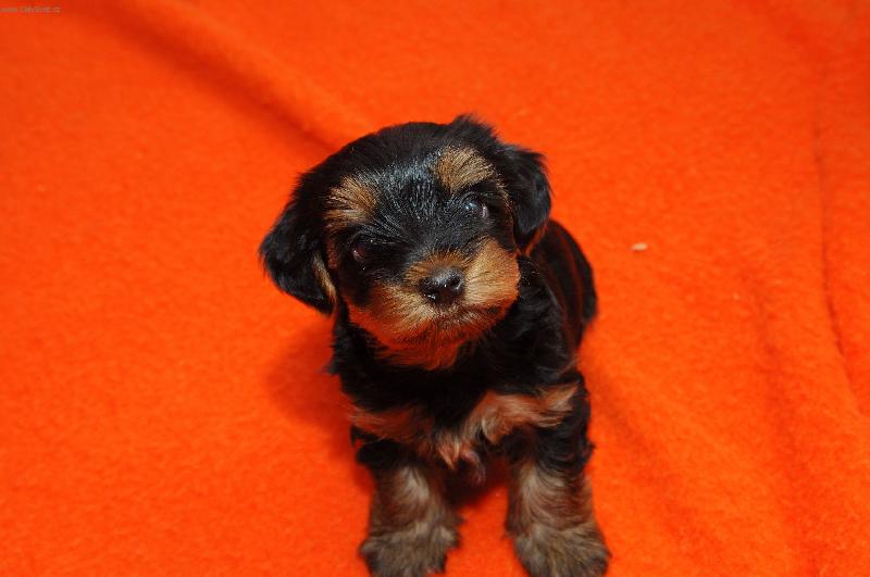 Foto: Kdo se mě na co ptal??:-)-Meggynka