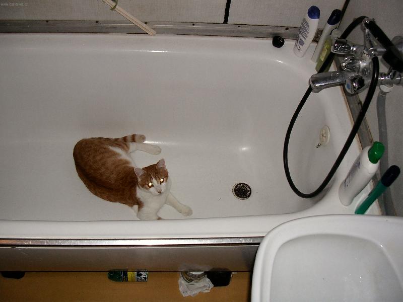 Foto: Zip-oblíbené místo na spaní