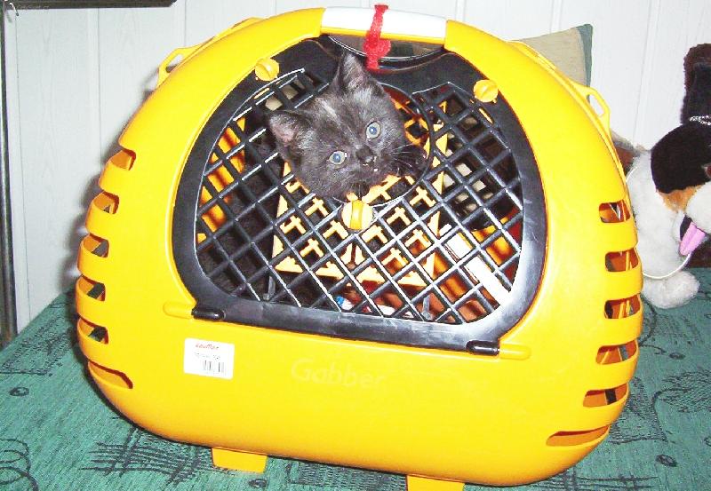 Foto: a stejně uteču!!!