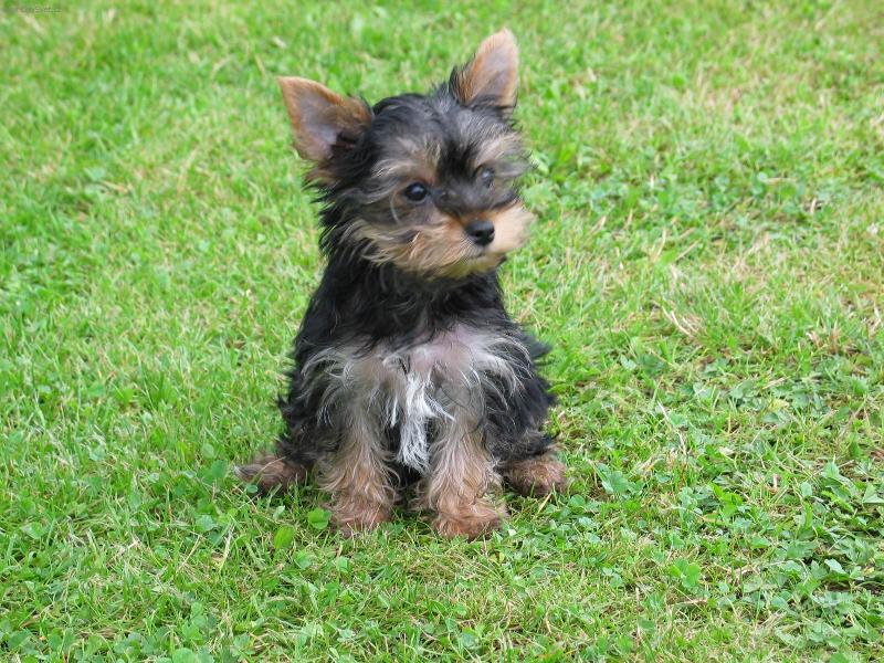 Foto: Ferda-... to bylo tenkrát, když jsem byl ještě malý ...