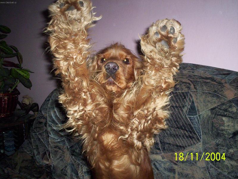 Foto: Keny-Prosím,prosím