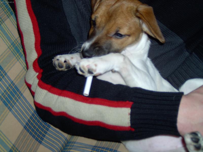 Foto: Jo každý má svůj zlozvyk!-Jo každý má svůj zlozvyk!