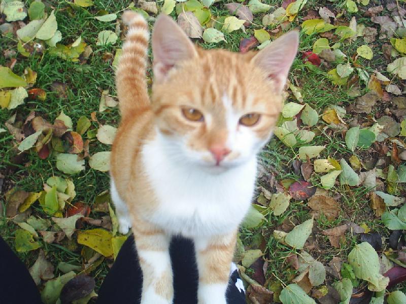 Foto: Maciček-dáš mi pusinku   :)?