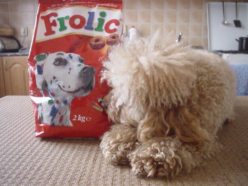 Foto: Sárinka-Sára s granulema