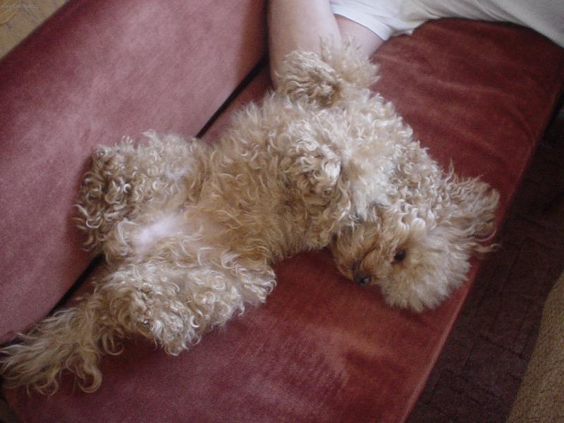 Foto: Sára-Sárinečka