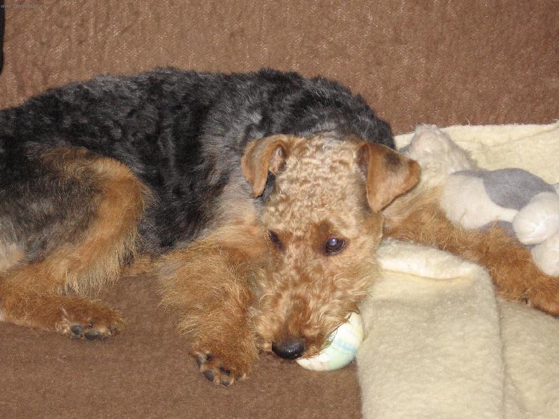 Foto: Dokonalý sestřih.-no nejsem krásný??