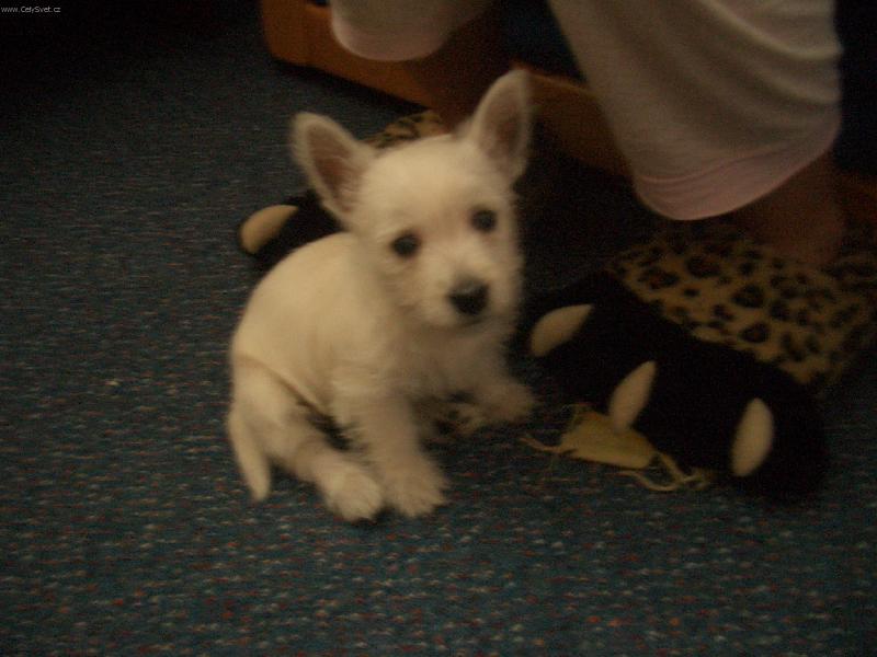 Foto: adelka miminko