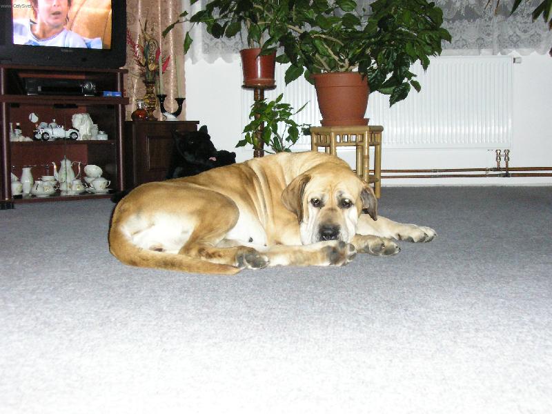 Foto: Už mě ta televize nebaví