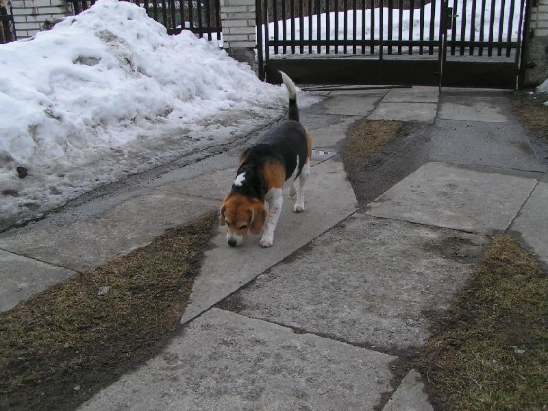 Foto: Naše Aginka agentem :D