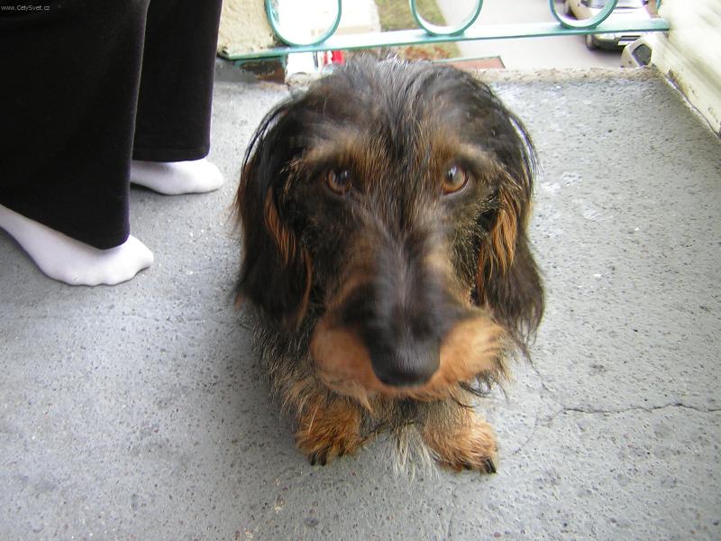 Foto: Bertík-Tak to je náš pyšulánek...