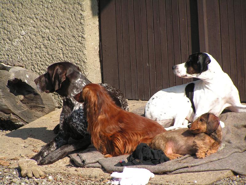 Foto: Copak se děje-odpočinek na prvním jarním sluníčku
