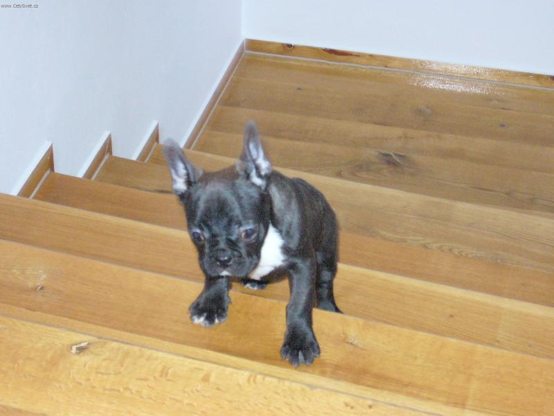 Foto: Blueberry-jo! to p�jde!!