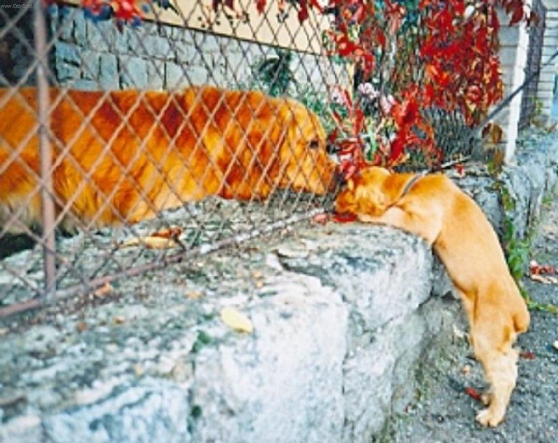 Foto: Eninka-seznamování