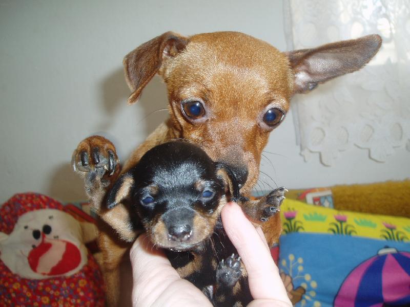 Foto: Dejte si na mě bacha!!