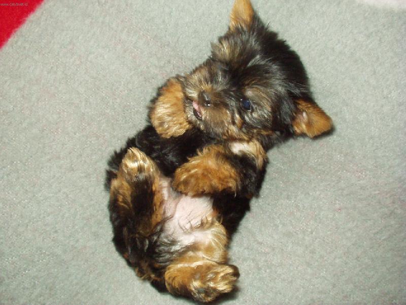 Foto: Malý Ernest-Pohoda na posteli