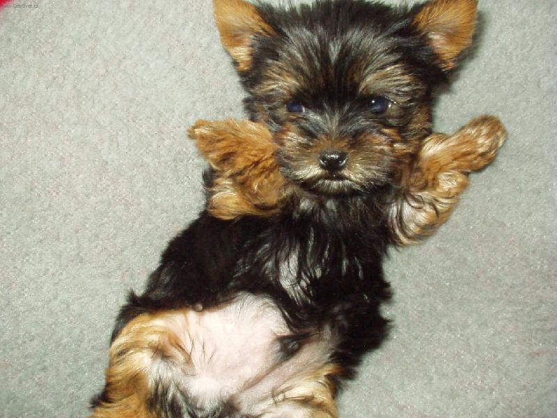 Foto: Malý Ernest-Pohoda na posteli