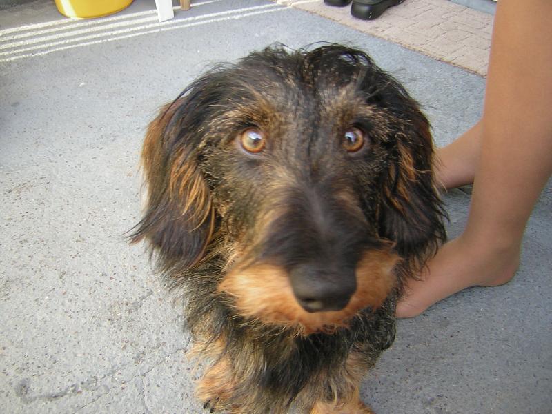 Foto: Ben-Můj nejlepší kamarád...