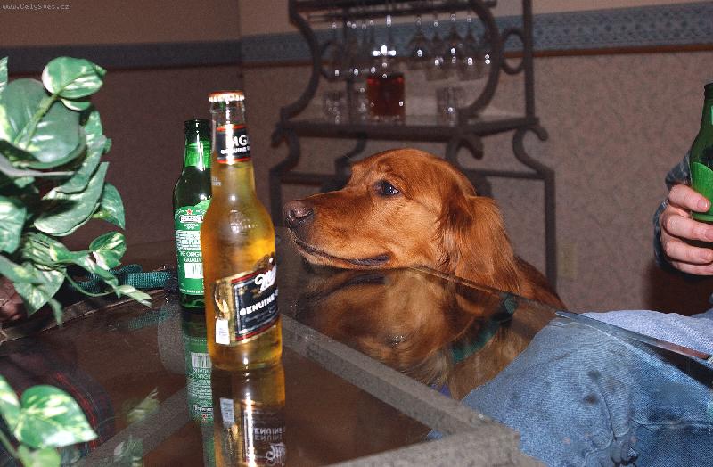 Foto: Dáte si kávičku nebo čaj?-kuchařka Barunka