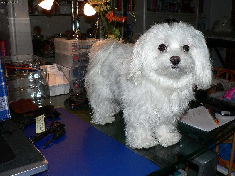 Foto: uprostřed léta před soumrakem-na výletě v národním parku...
