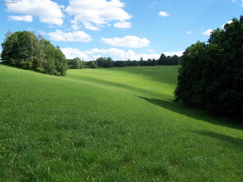 Foto: šumavské léto-Jak to na Šumavě vypadá, když zrovna neprší...