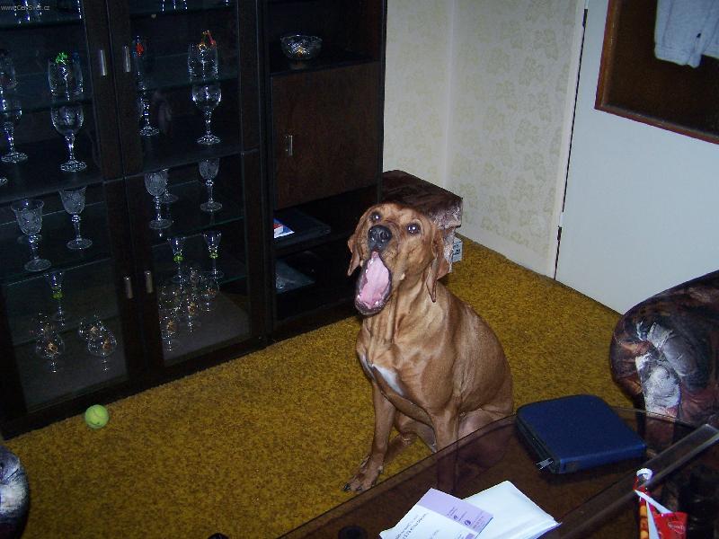 Foto: Všechny vás sním!!!