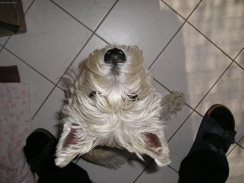 Foto: Co se děje,veký éfe???