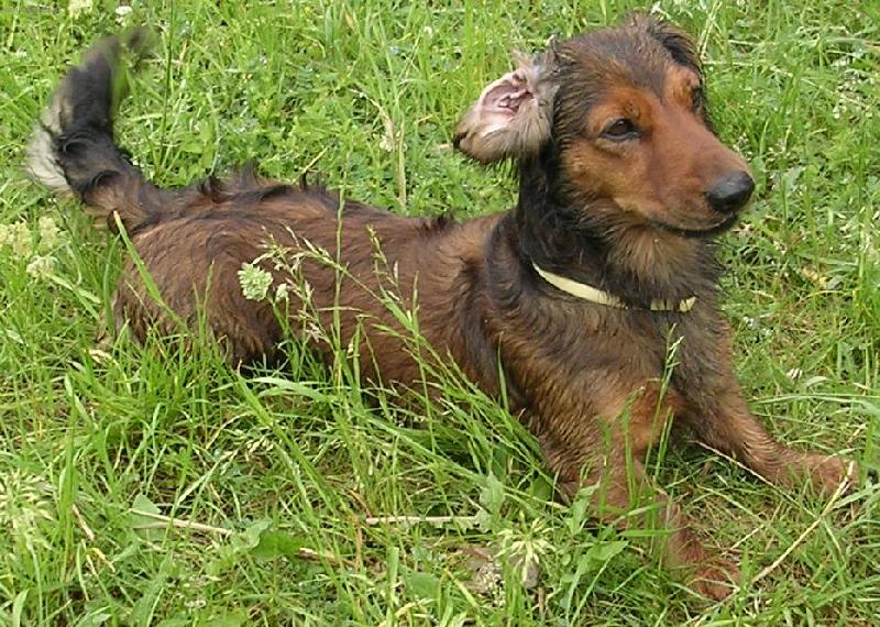 Foto: Ronýsek-Ronýsek na výletě na Karlštejn