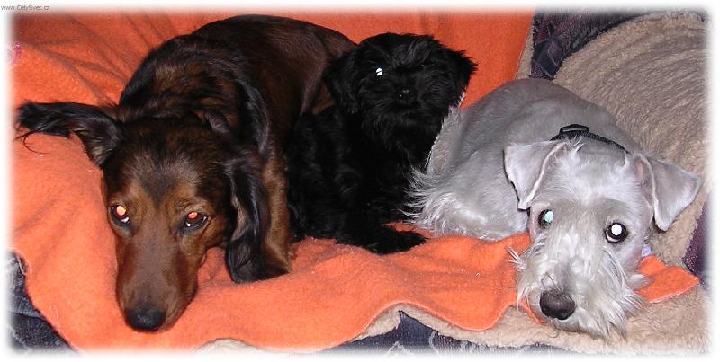 Foto: Rony, Pachira a Fátima-Ronýsek a jeho dvě kamarádky