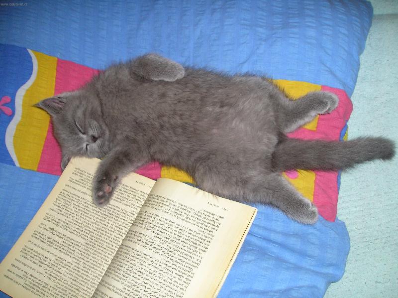 Foto: před spaním....-ještě jednu pohádku, prosíííím......