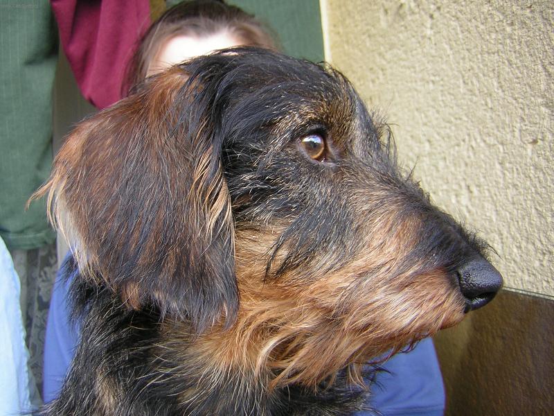 Foto: BEN-paličák,ale náš...