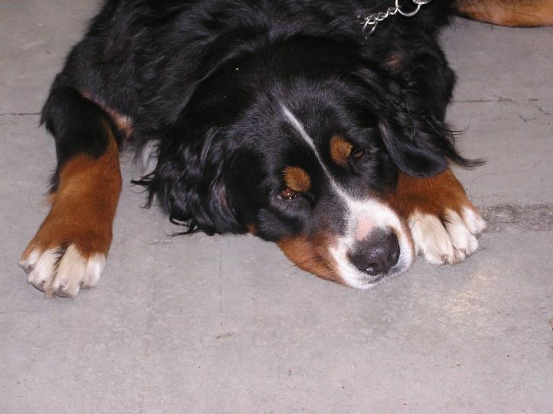 Foto: Akelka-Prosím nebudit