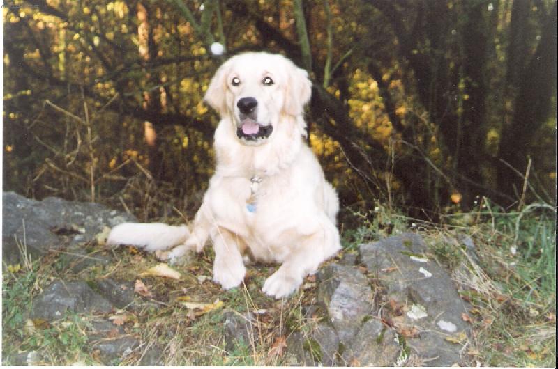 Foto: aristokrat-Maxim o vanocích 2006