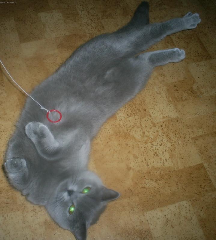 Foto: válená-co tak koukáte, to se nemůžu ani protáhnout?